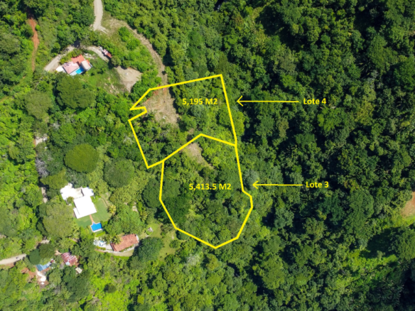 Stunning Playa Samara Ocean View Jungle Lots starting at $140,000