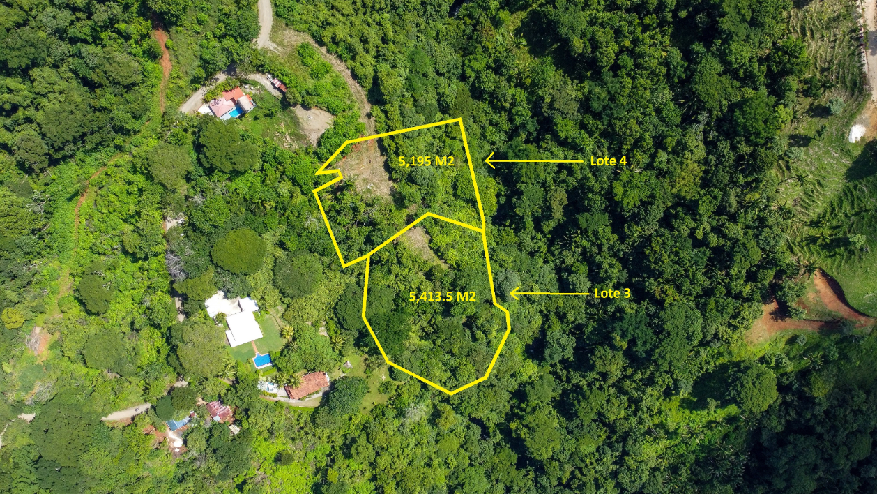 Stunning Playa Samara Ocean View Jungle Lots starting at $140,000