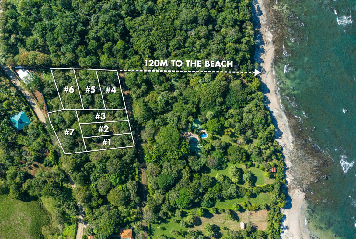 Several over Quarter Acre Building Lots - Walk to beach