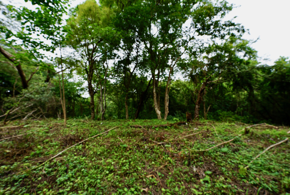 Prime Jungle View Building Lot Nosara Estates