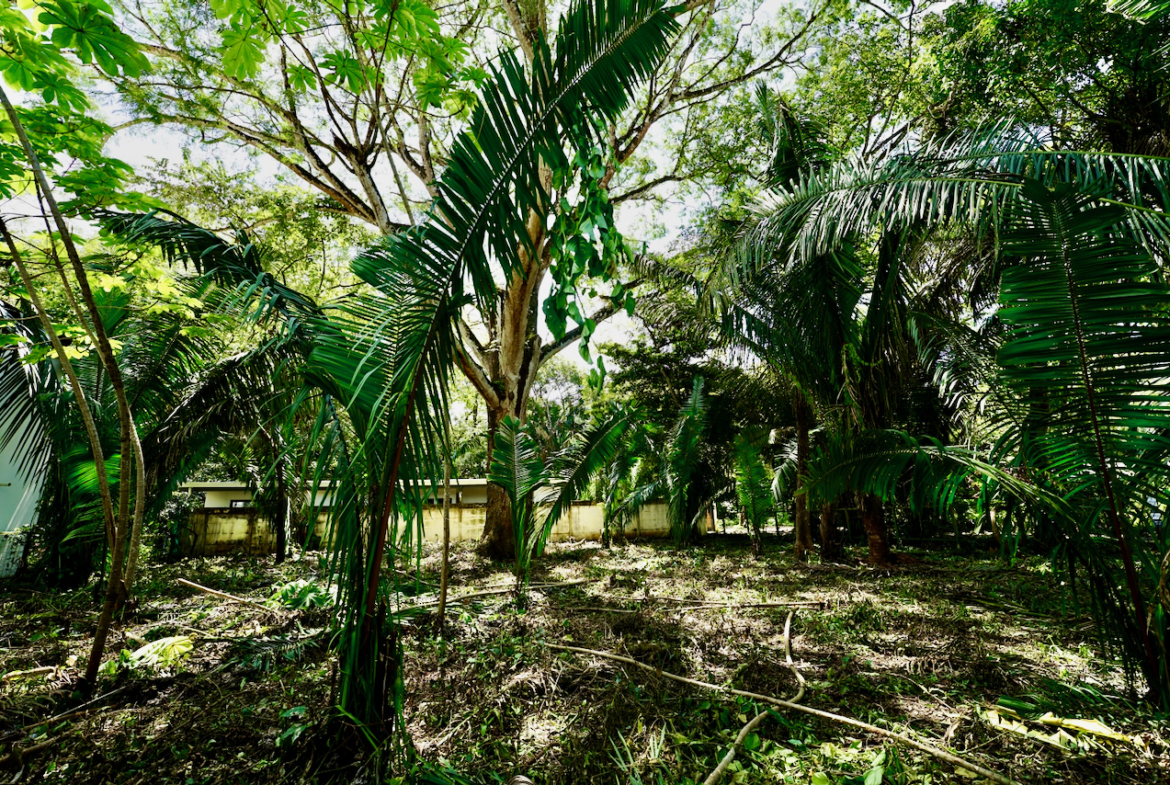 Selvamar Nosara Rectangular Building Lot #2