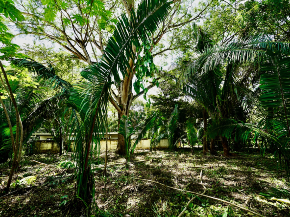 Selvamar Nosara Rectangular Building Lot #2
