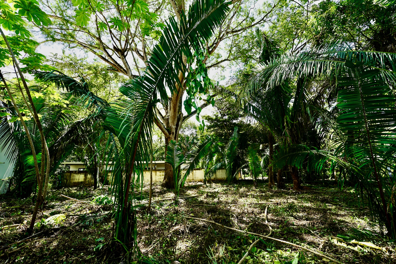 Selvamar Nosara Rectangular Building Lot #2