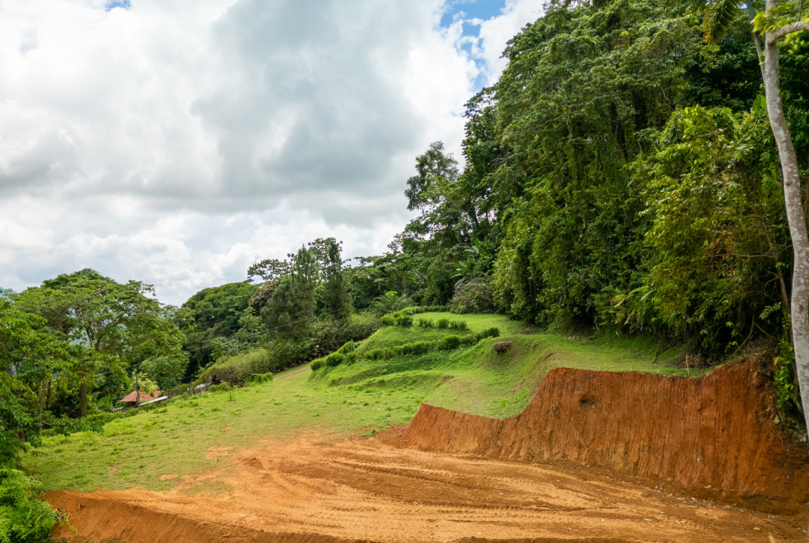 Breathtaking Jungle and Ocean View Building Lot 2 Pads