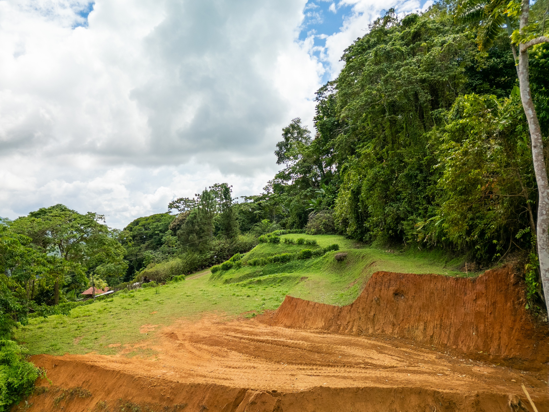 Breathtaking Jungle and Ocean View Building Lot 2 Pads