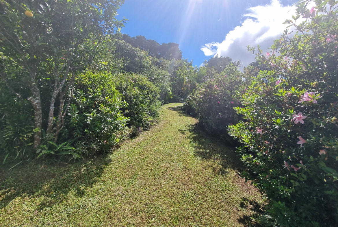 4 Cabins nestled in Barva forested landscapes with river access