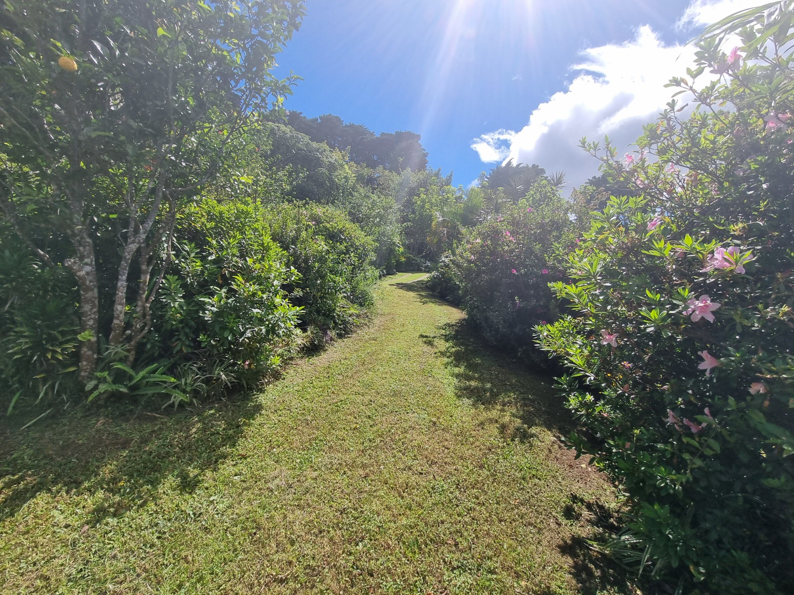 4 Cabins nestled in Barva forested landscapes with river access