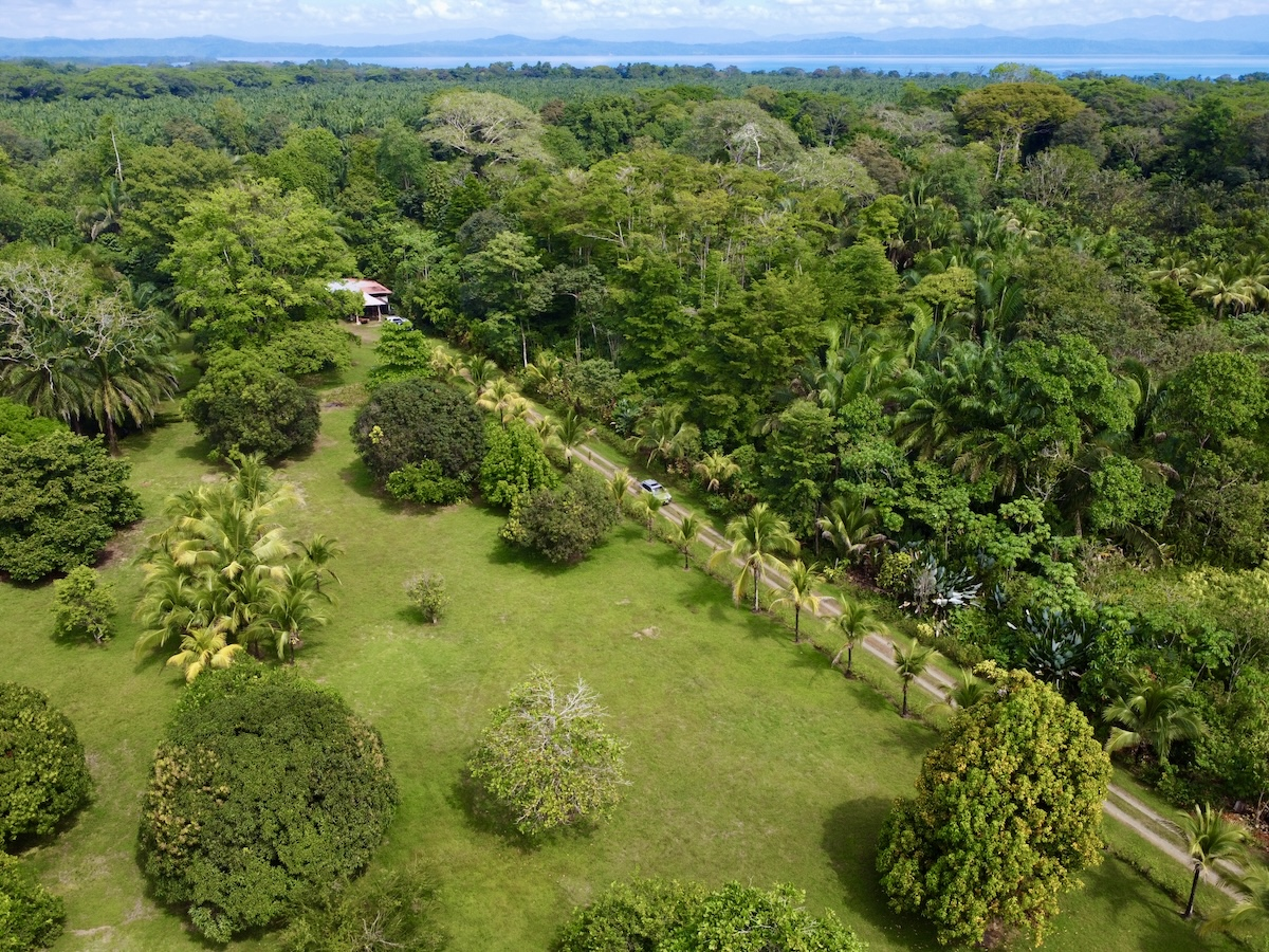 Osa Peninsula 3 BR Tropical Paradise near the ocean
