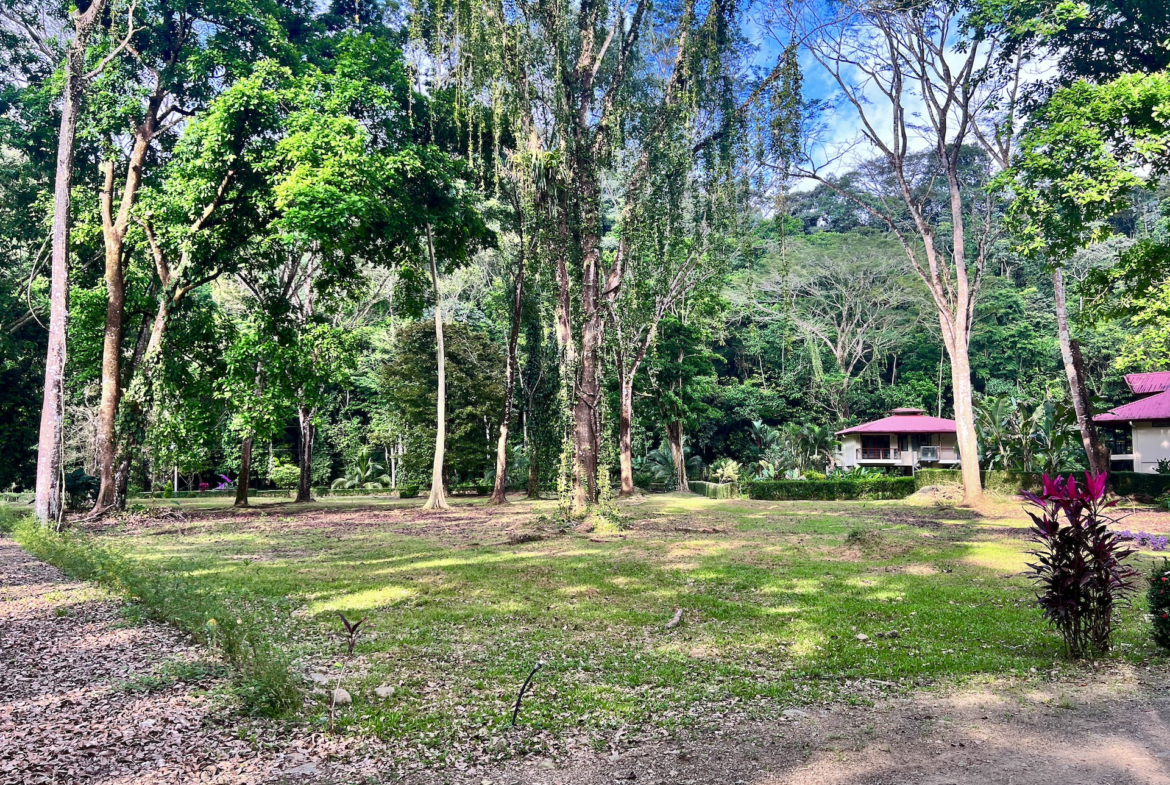 The Landings Building Lot with Saltwater Pool and Yoga Deck