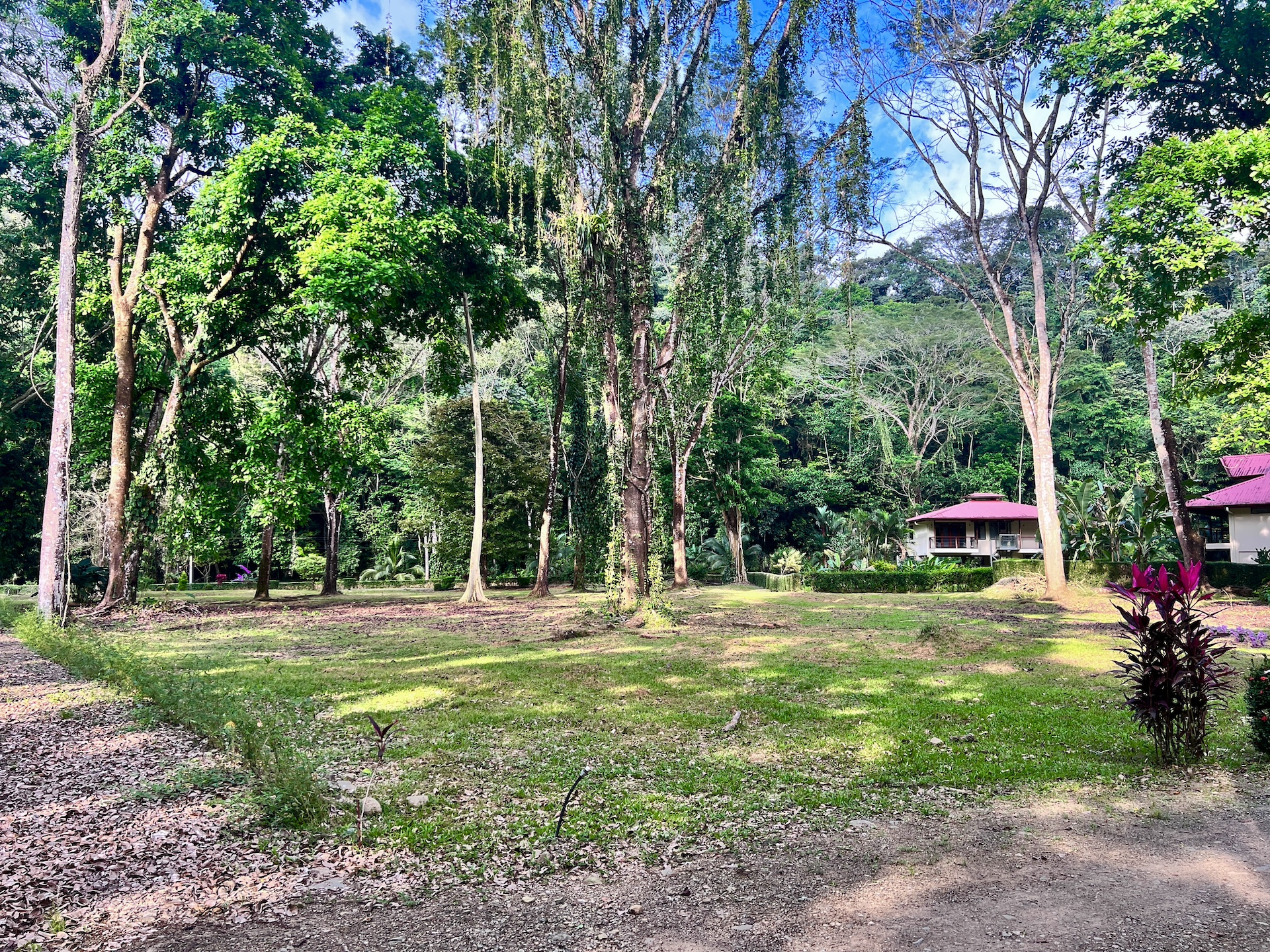 The Landings Building Lot with Saltwater Pool and Yoga Deck