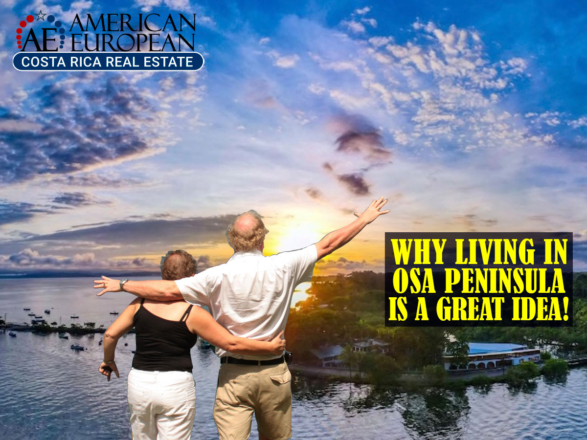 Discover Osa Peninsula - Costa Rica Real Estate