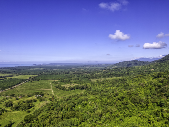 17 Acre Portalon Ocean View Property