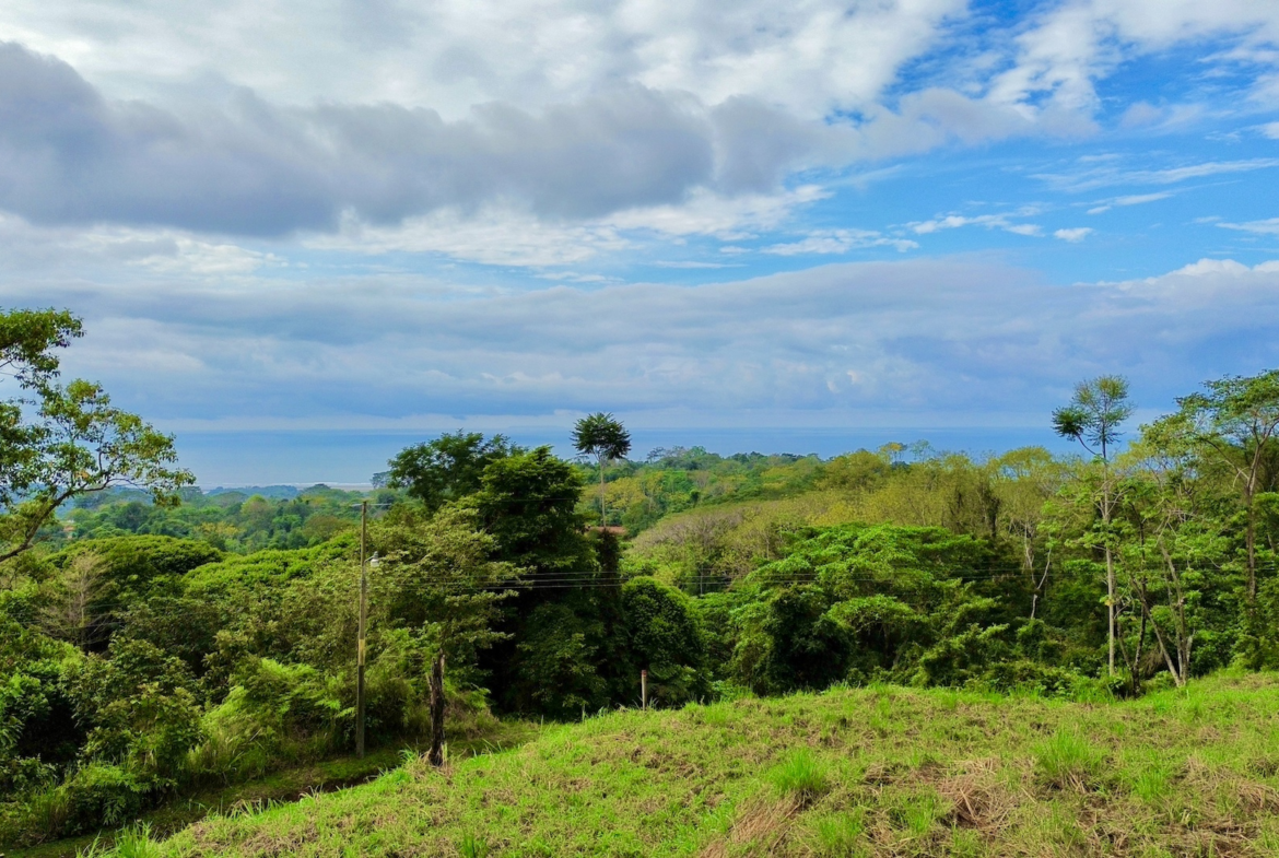 Ready to Build Ojochal Ocean and Sunset Views Lot