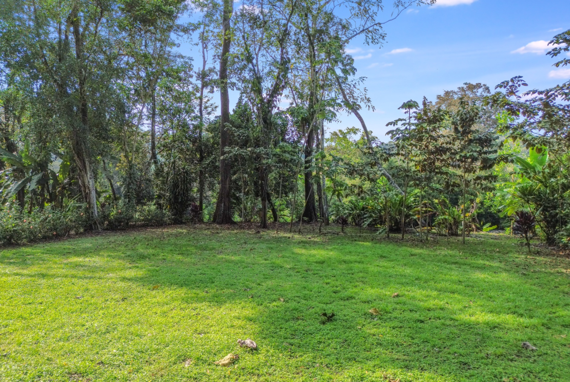 Rare Riverfront Lot Steps from Dominical