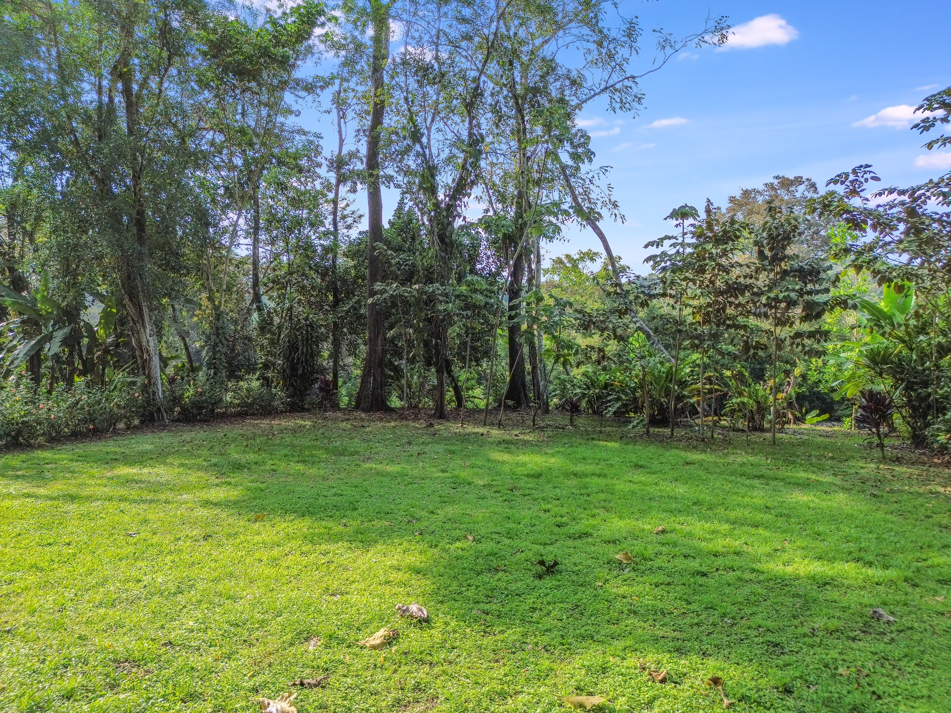 Rare Riverfront Lot Steps from Dominical