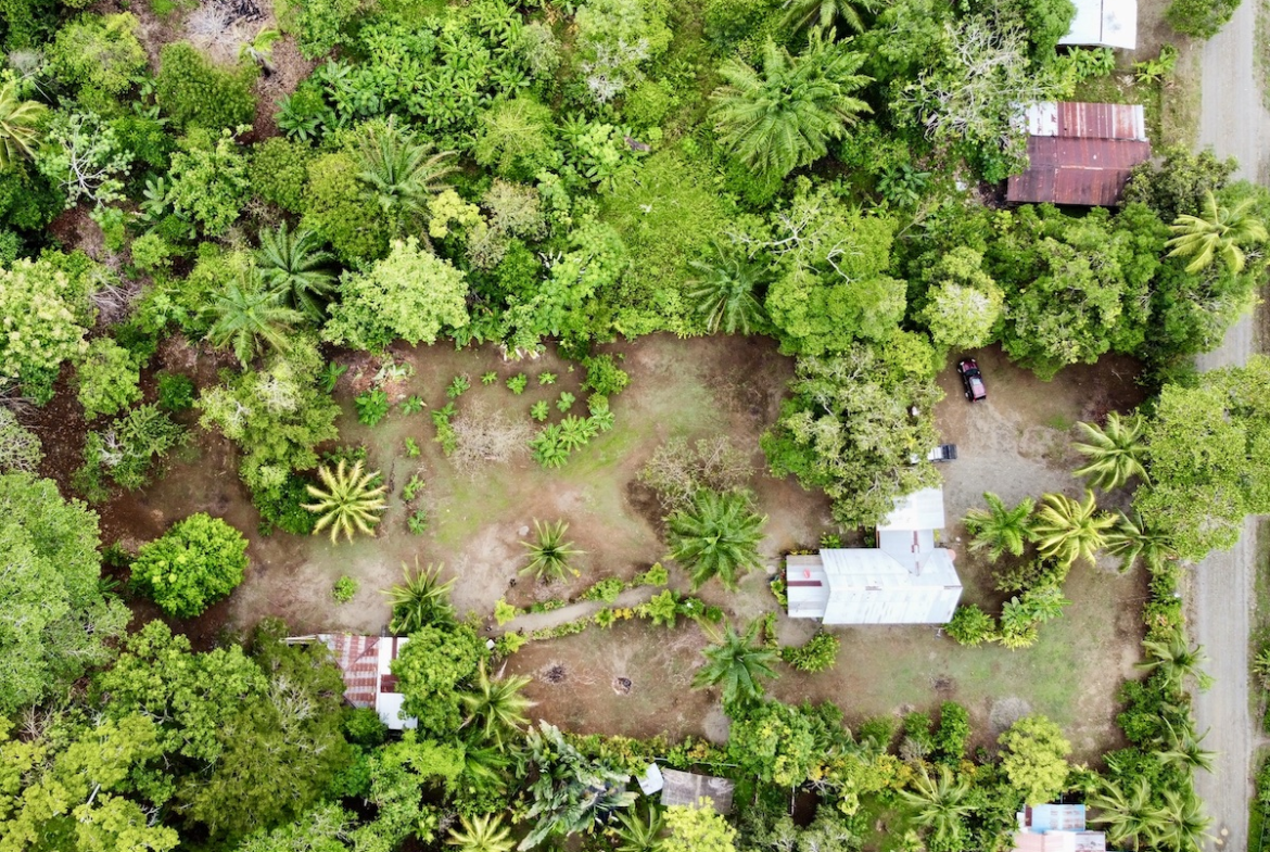2 Puerto Jimenez Houses with space to build