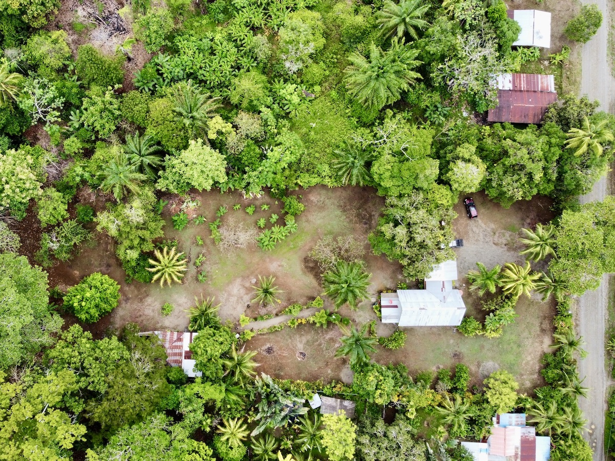 2 Puerto Jimenez Houses with space to build