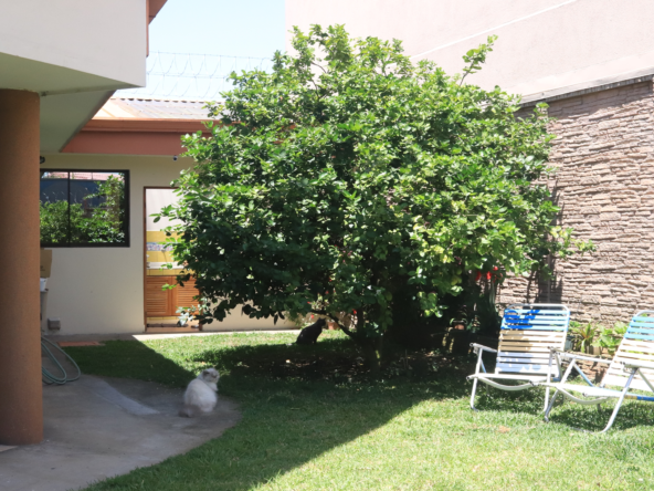 Mixed Zoning 3 BR Executive Residential Home Guadalupe