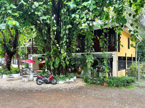 Turnkey 7 BR Tambor Minihotel + Restaurant + 3 BR Apartment