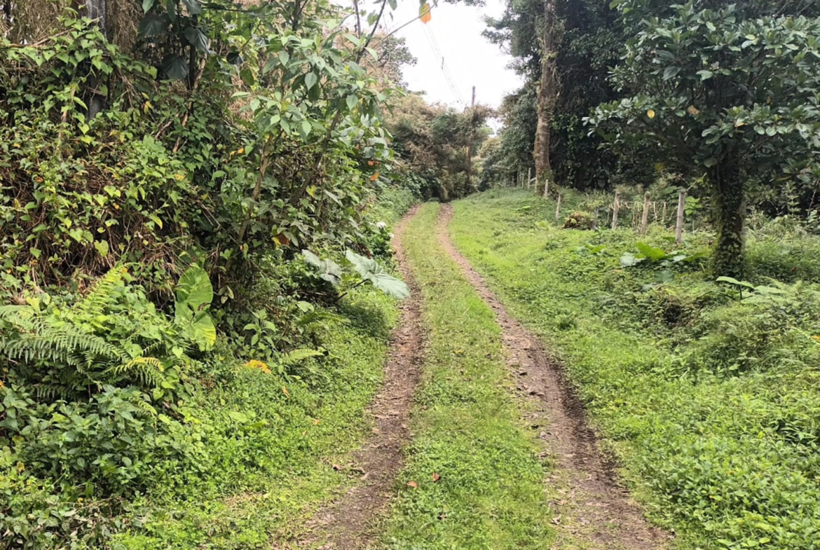 Los Juncos Coronado Eco-Friendly 8 Acre Building Lot