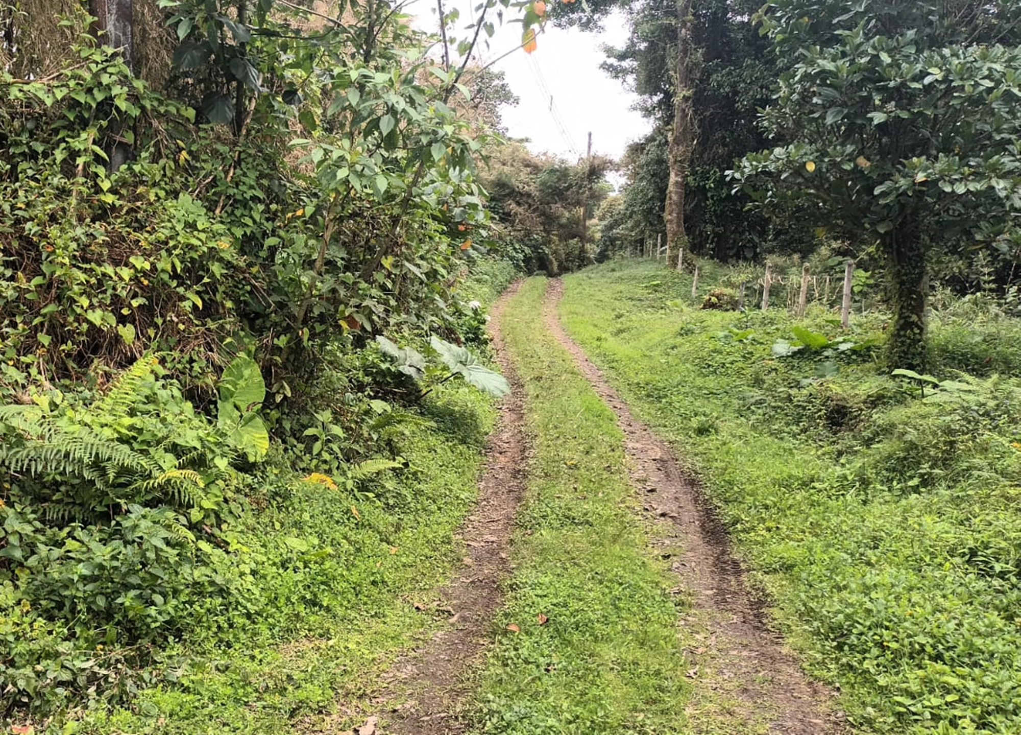 Los Juncos Coronado Eco-Friendly 8 Acre Building Lot