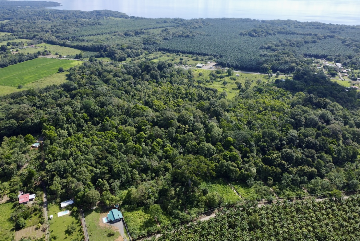 Osa Peninsula Large and Affordable Building Lots