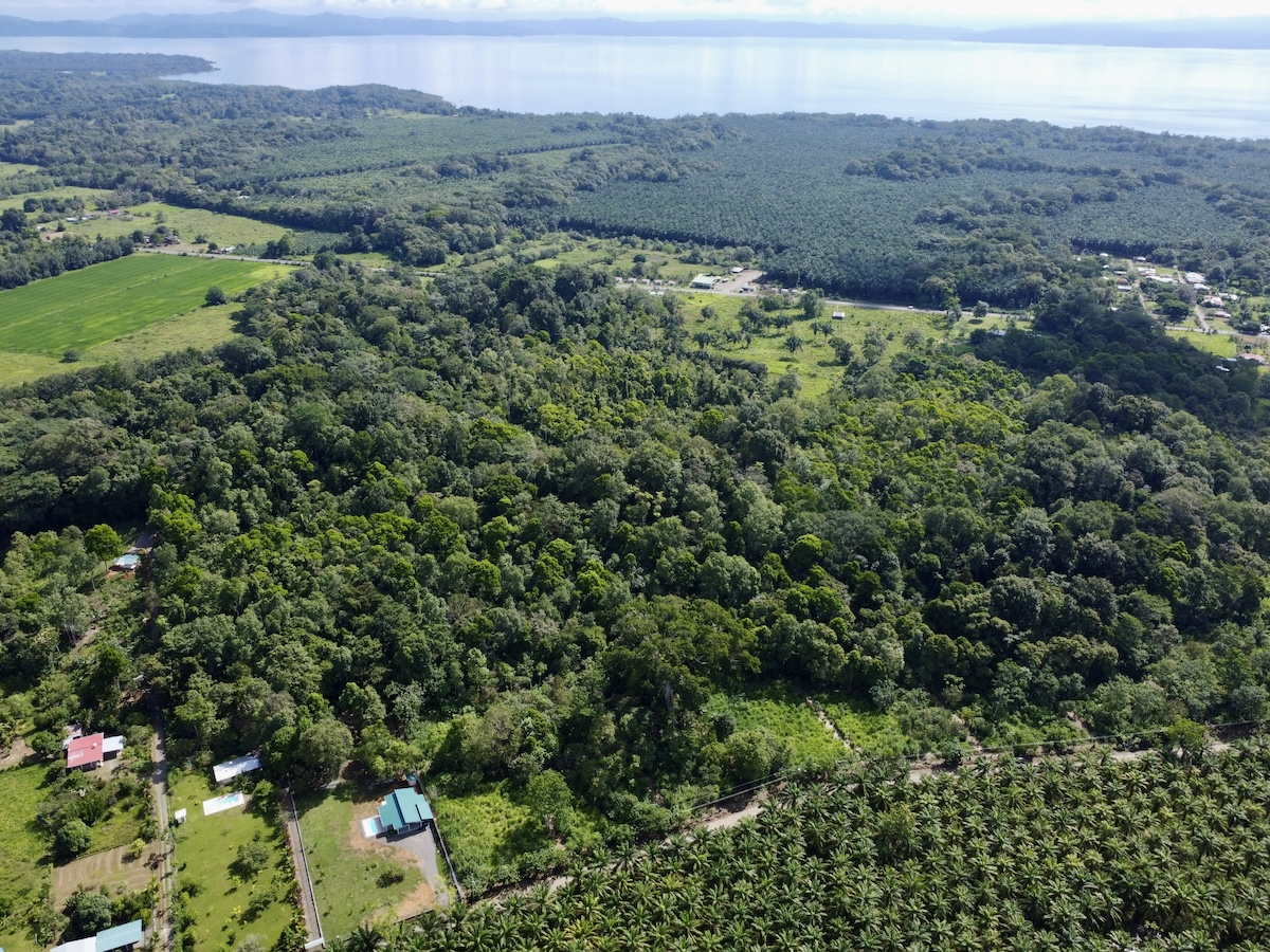 Osa Peninsula Large and Affordable Building Lots