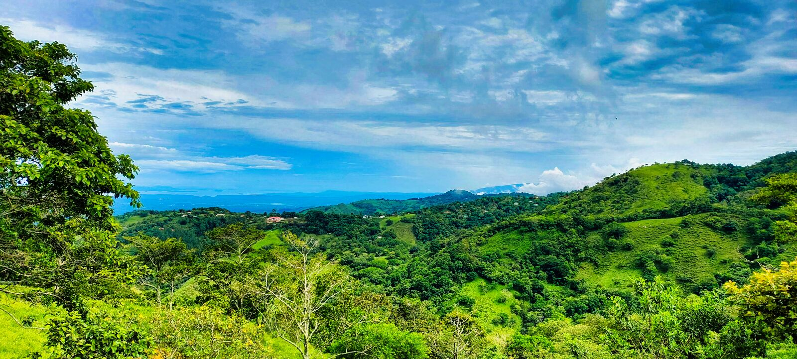 Panoramic Puriscal Ocean-View Acreage - Opportunity and Serenity