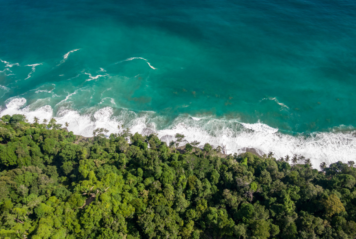 Matapalo Residential Ocean and Forest View Lots