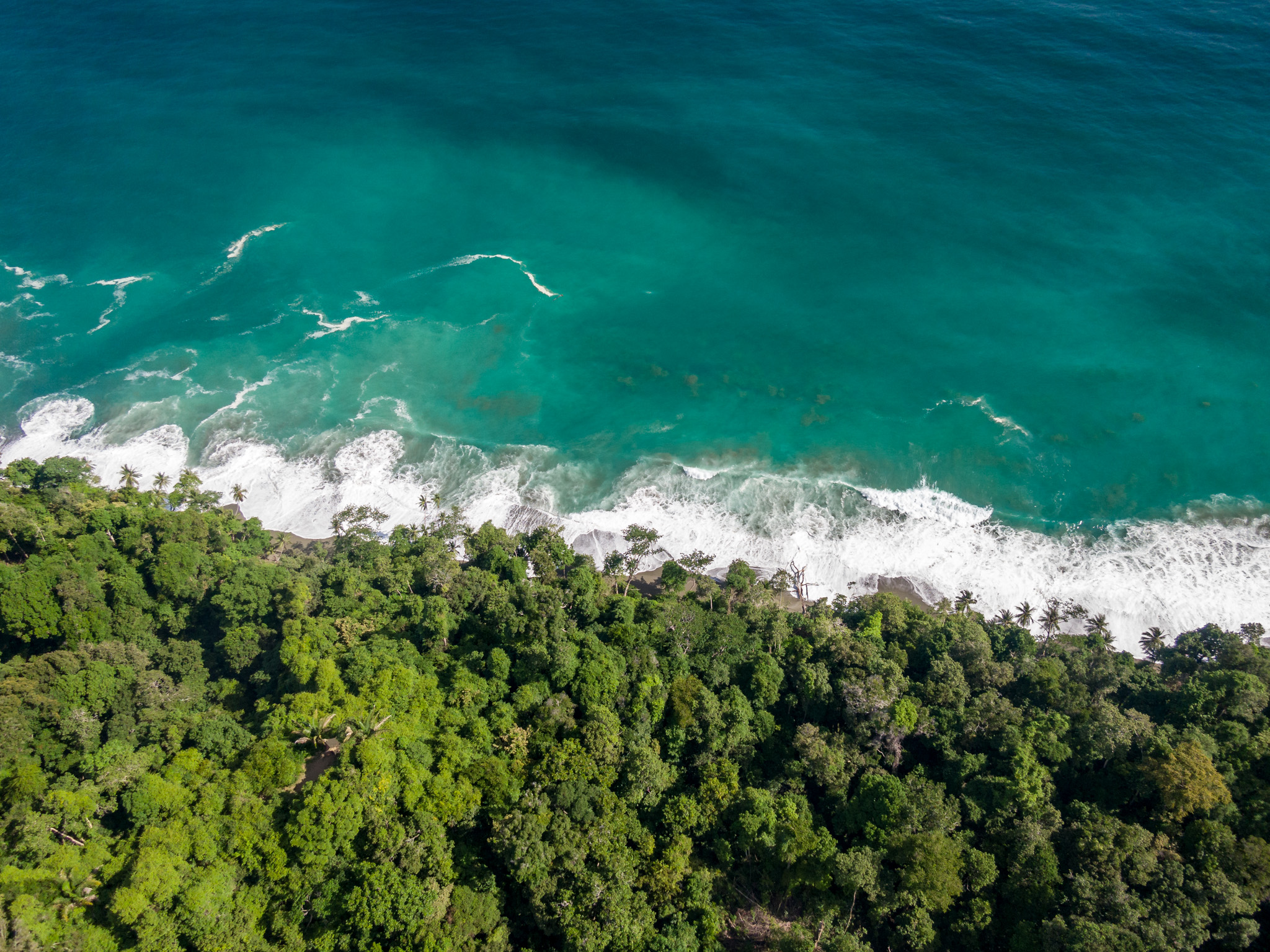 Matapalo Residential Ocean and Forest View Lots