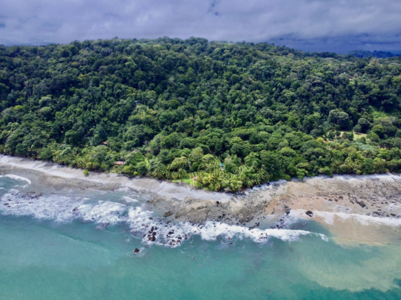 Matapalo Osa Peninsula Lot: Your Dream Property