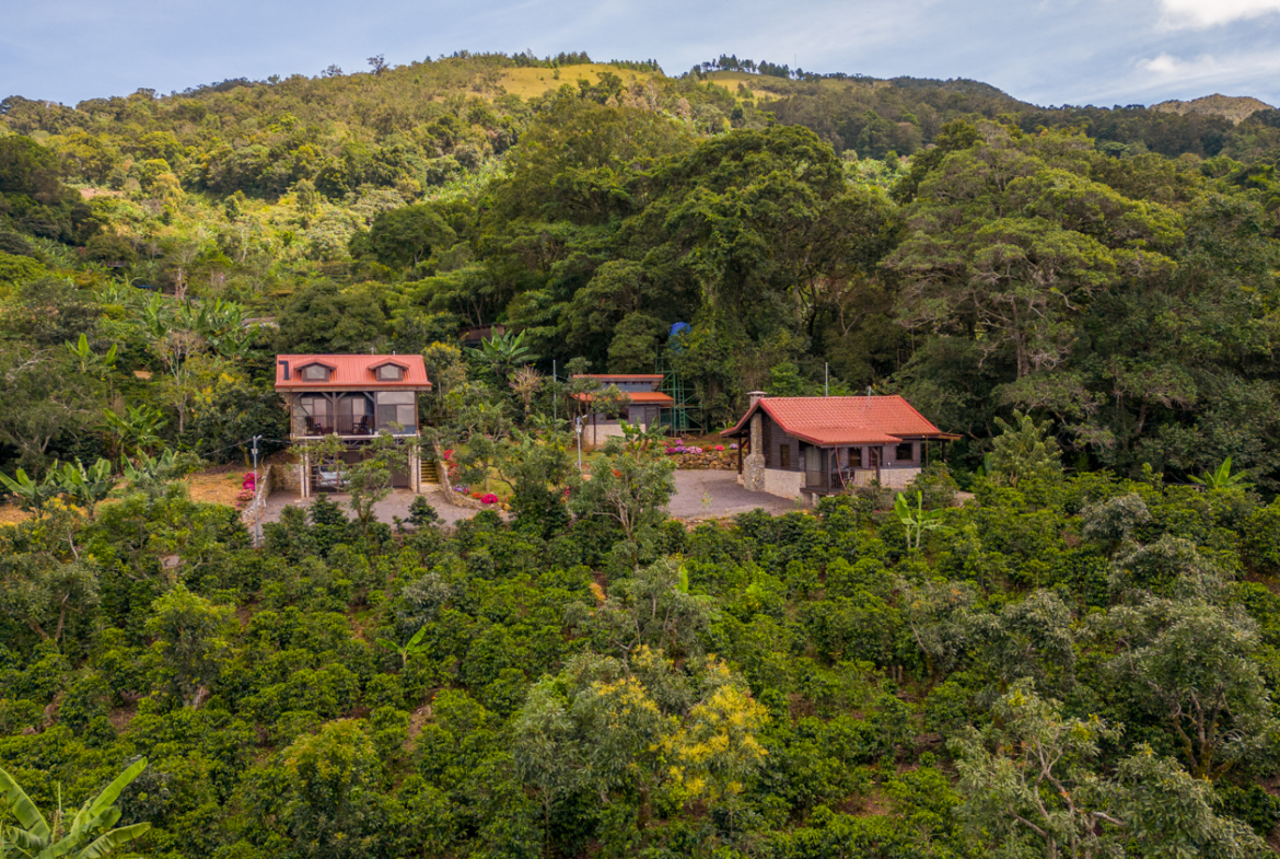 2 Luxury Studio Villas on Dota Valley 2-Acre Estate