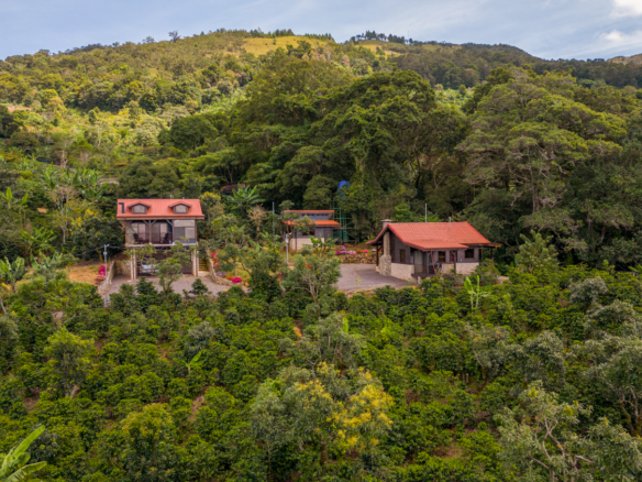 2 Luxury Studio Villas on Dota Valley 2-Acre Estate