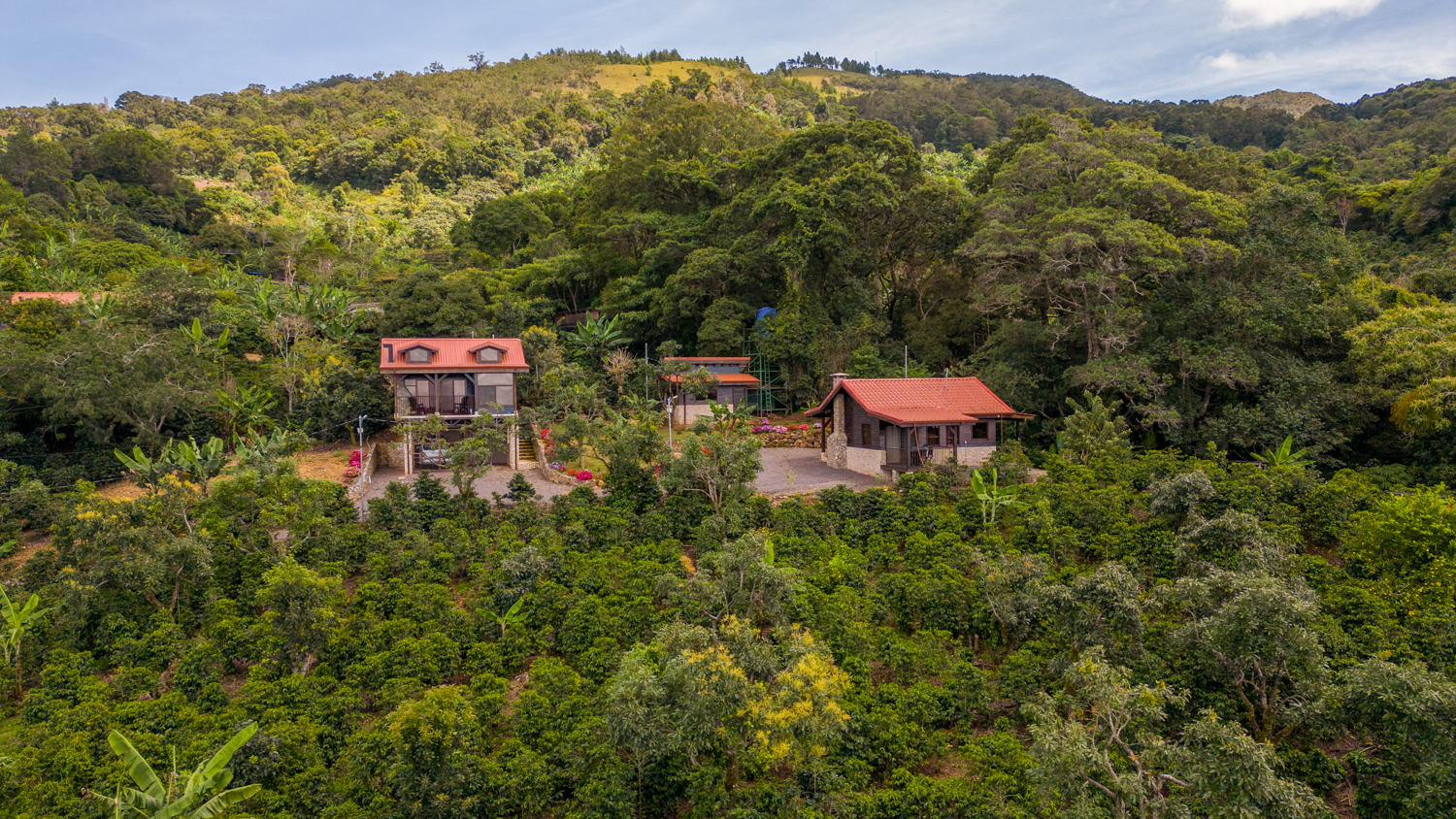 2 Luxury Studio Villas on Dota Valley 2-Acre Estate