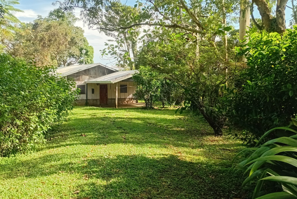 15 Acre Puriscal Piece of Paradise with 2 BR Guesthouse