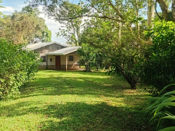 15 Acre Puriscal Piece of Paradise with 2 BR Guesthouse