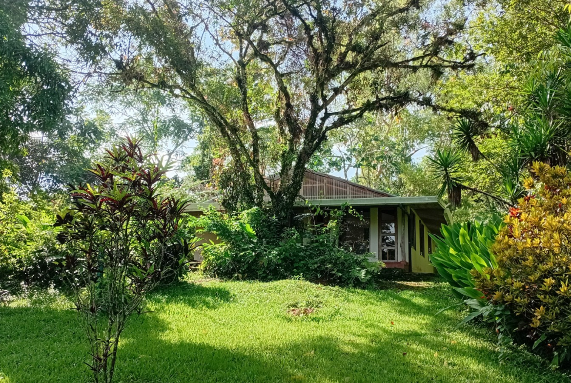 15 Acre Puriscal Piece of Paradise with 2 BR Guesthouse
