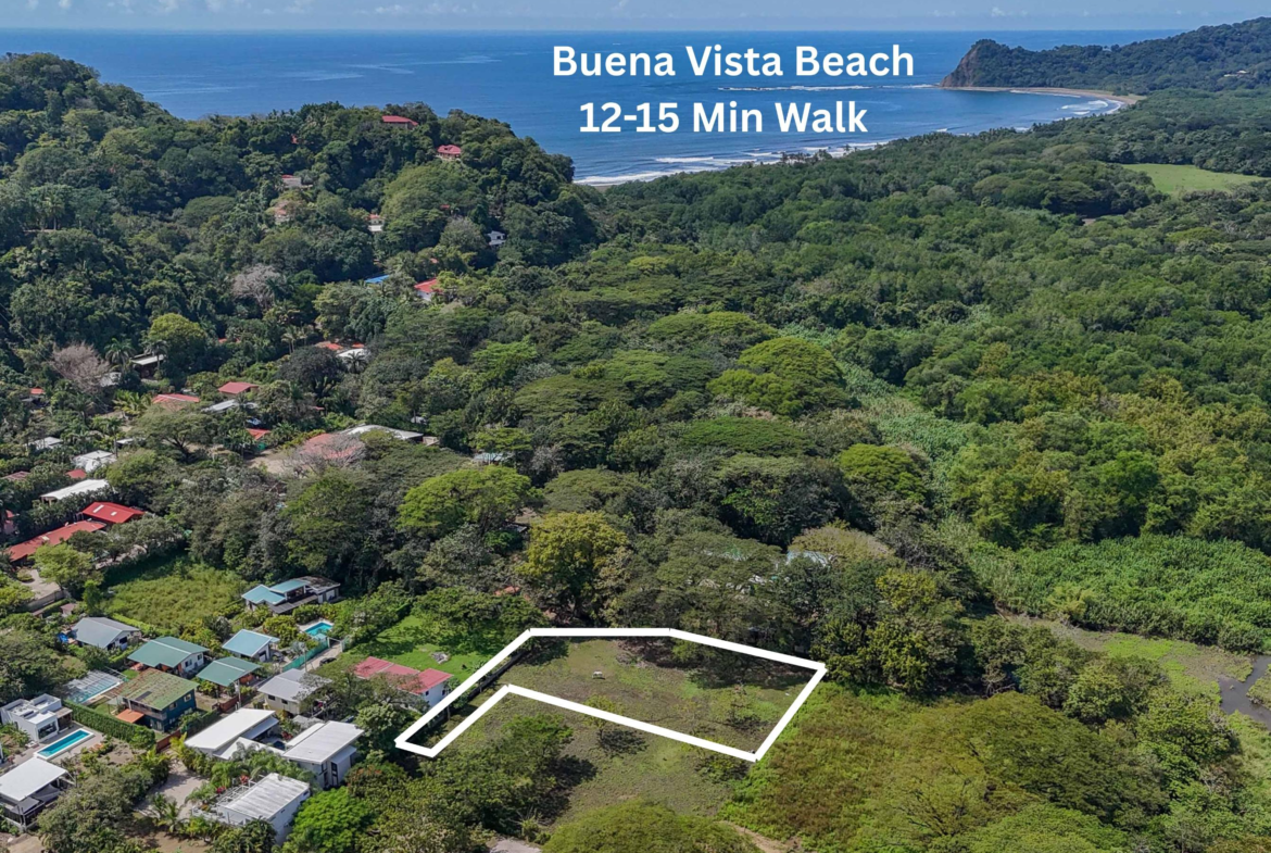 Buena Vista Building Lot In Between 2 Beaches