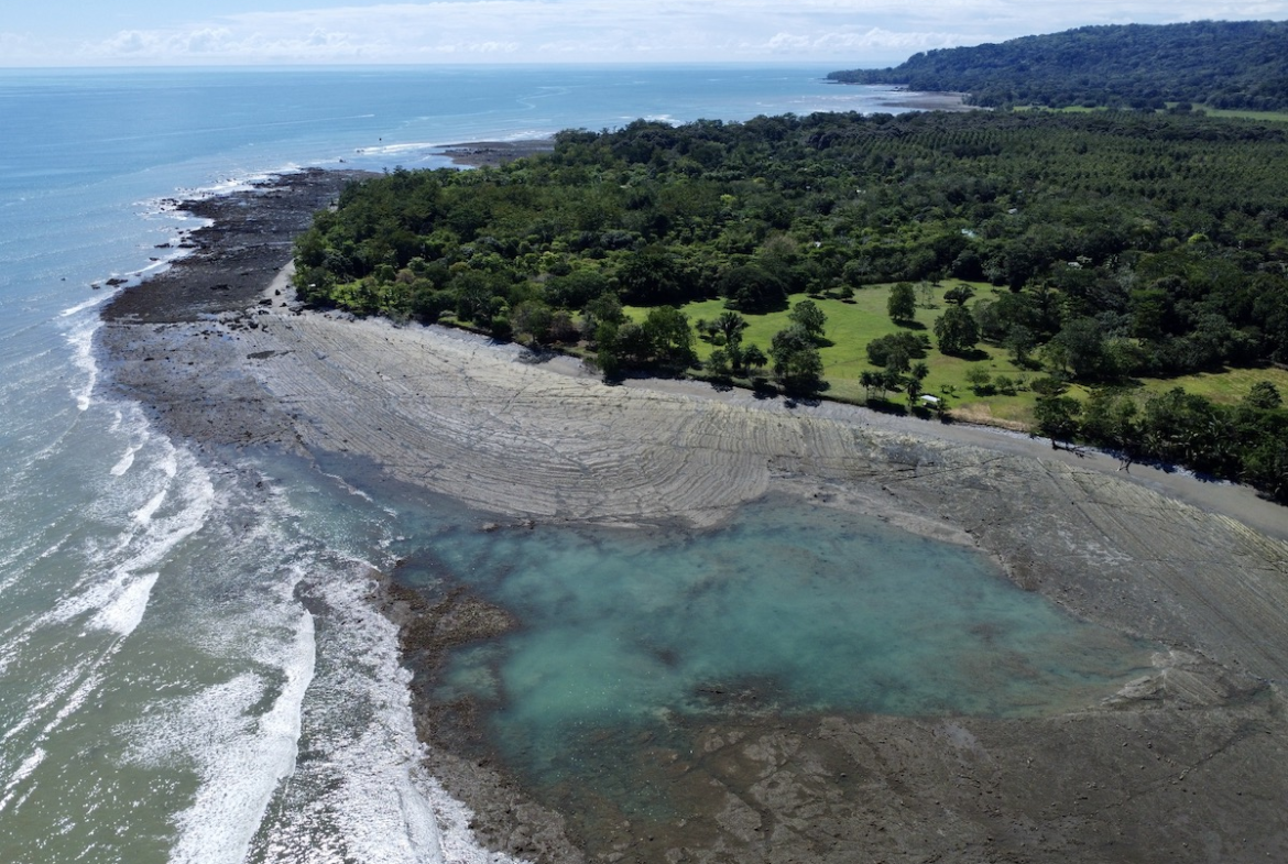 Spectacular Off the Grid Osa Peninsula Beachfront Property