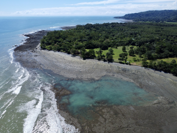 Spectacular Off the Grid Osa Peninsula Beachfront Property