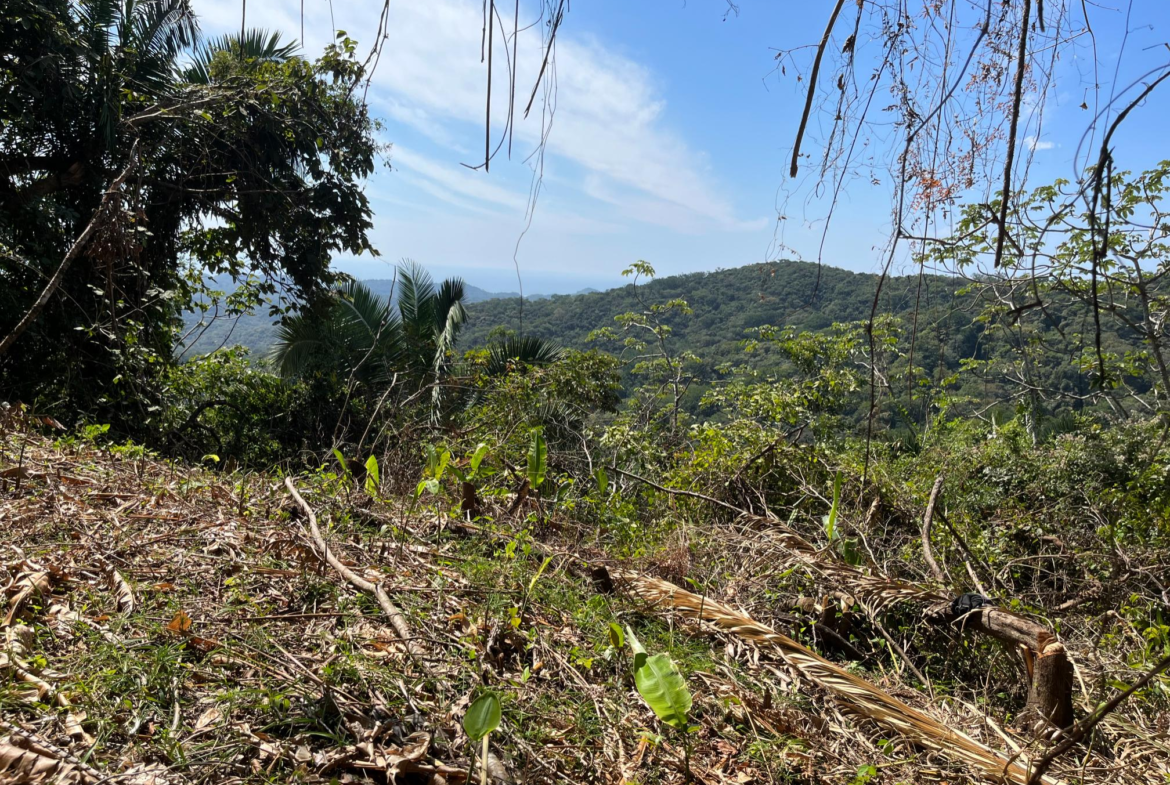 Ready to Build Montana Estates Samara Ocean View Lot