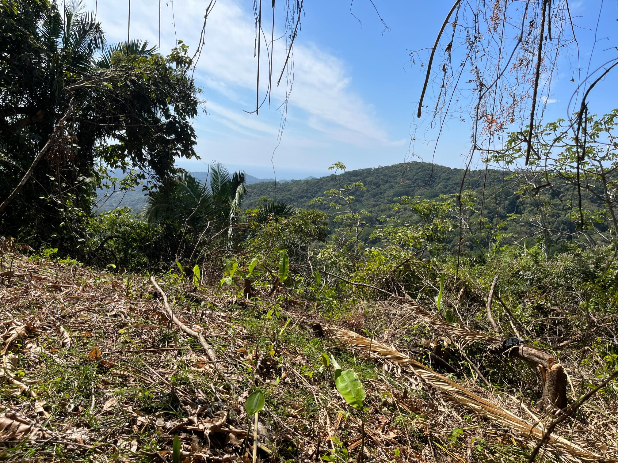 Ready to Build Montana Estates Samara Ocean View Lot