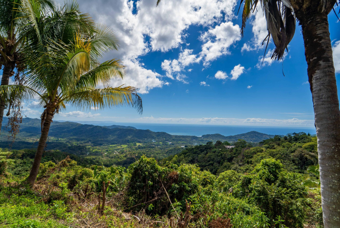 Rare Playa Carrillo Ocean View Lot with 2 Platforms