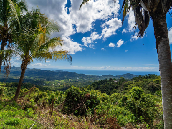 Rare Playa Carrillo Ocean View Lot with 2 Platforms