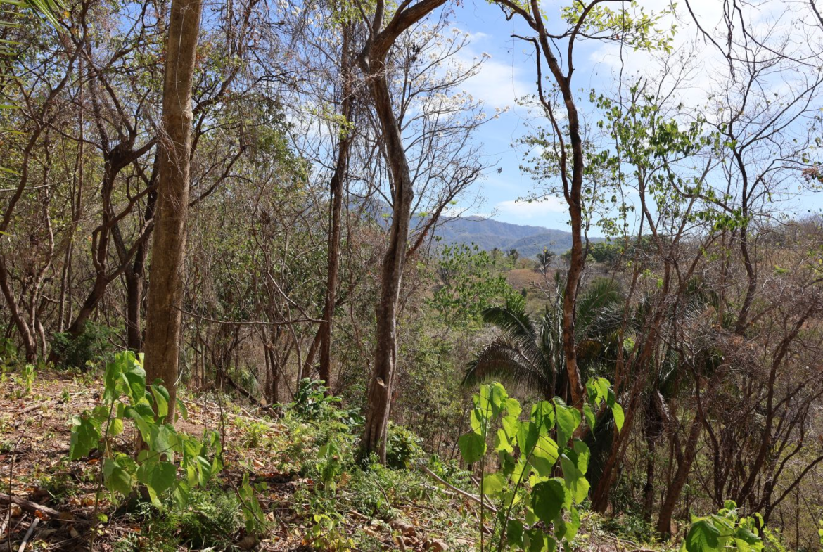 Beautiful 1-Acre Nature Lot with a Platform near Playa Bejuco