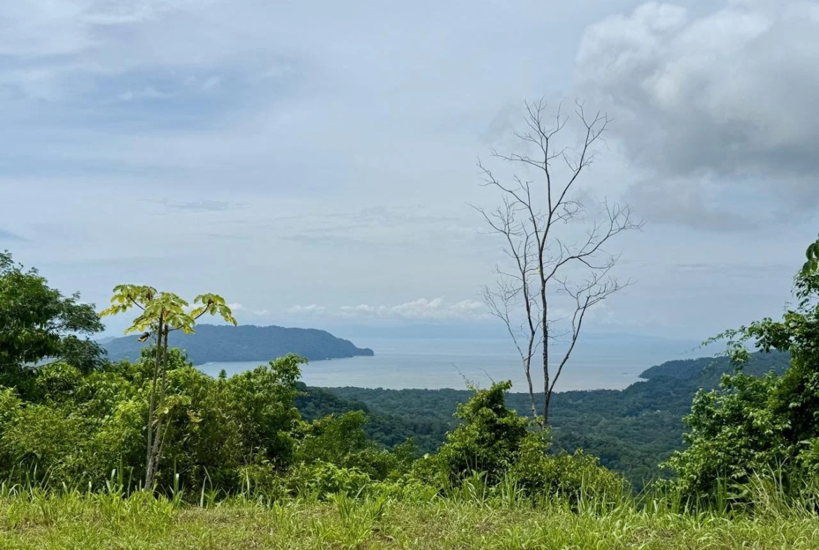 5-Acre Ocean View Property in the Tambor Hills Blue Zone