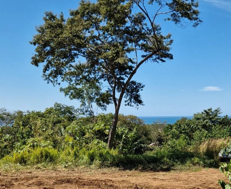 Quiet Playa Costa de Oro Ocean View Lot Walk To Beach