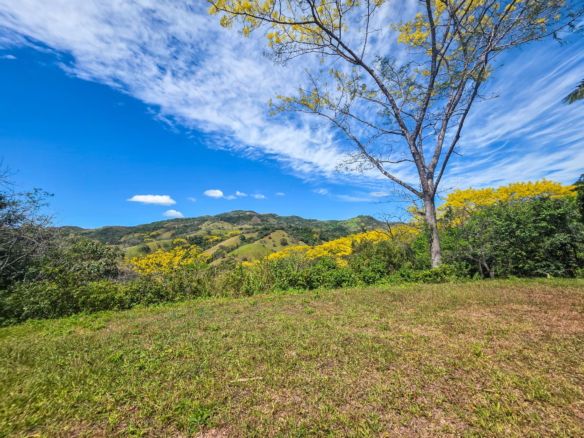 Samara Beach Mountain and Partial Ocean View Lot