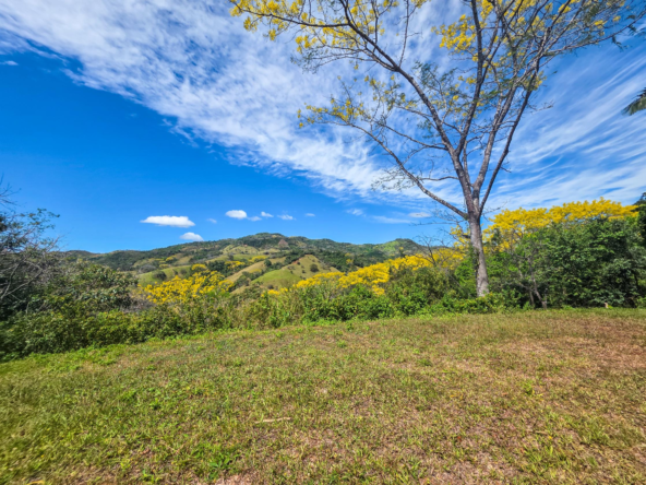 Samara Beach Mountain and Partial Ocean View Lot