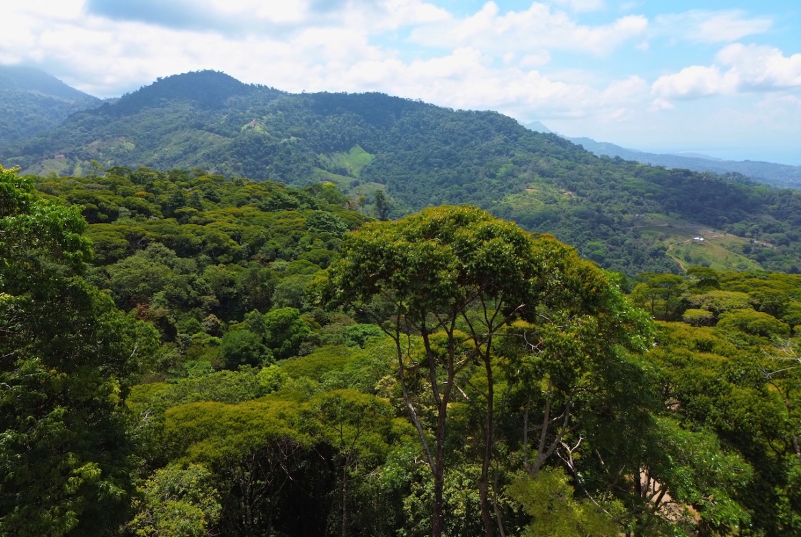 Uvita Ocean View Land with Whale Tail Views